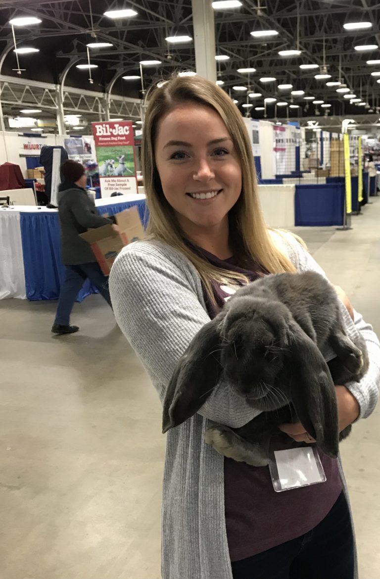 About Us Great KC Pet Expo